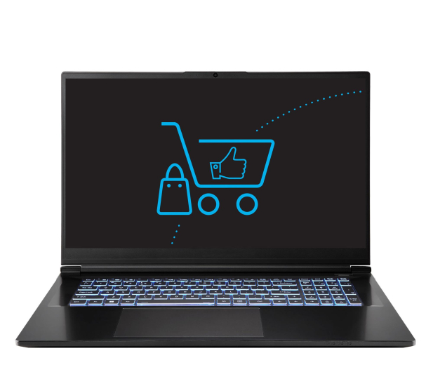 Dream Machines RG5070-17PL30 Ultra 9-290HX/32GB/1TB RTX5070 240Hz - 1609113 - zdjęcie